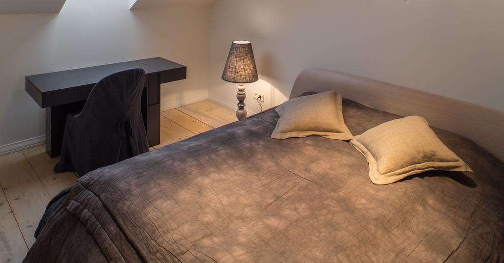 Apartment Luxury Loft With Terrace Riga